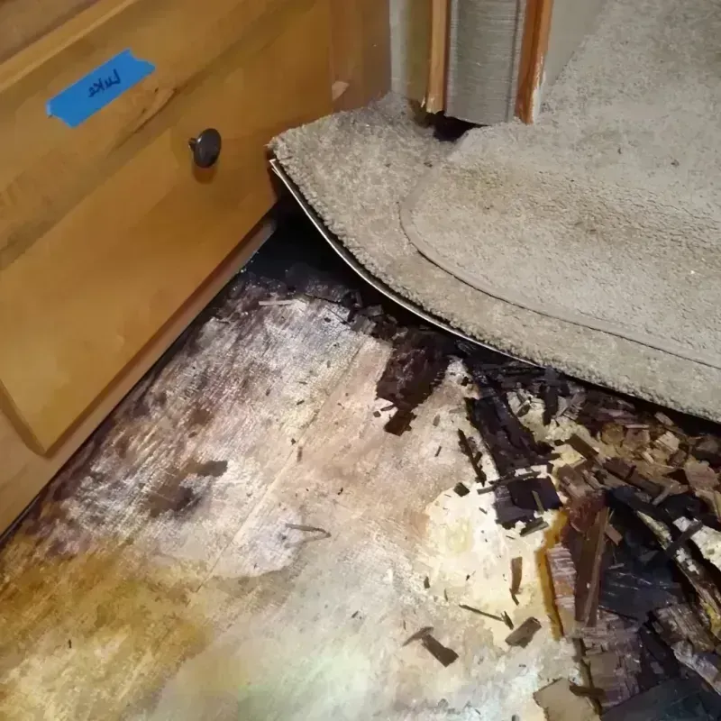 Best Wood Floor Water Damage Service in West Nyack, NY